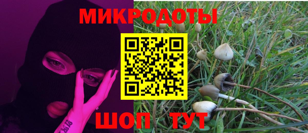 Псилоцибиновые грибы GOLDEN TEACHER  Вход с VPN  Заводоуковск  Галлюциногенные грибы GOLDEN TEACHER 